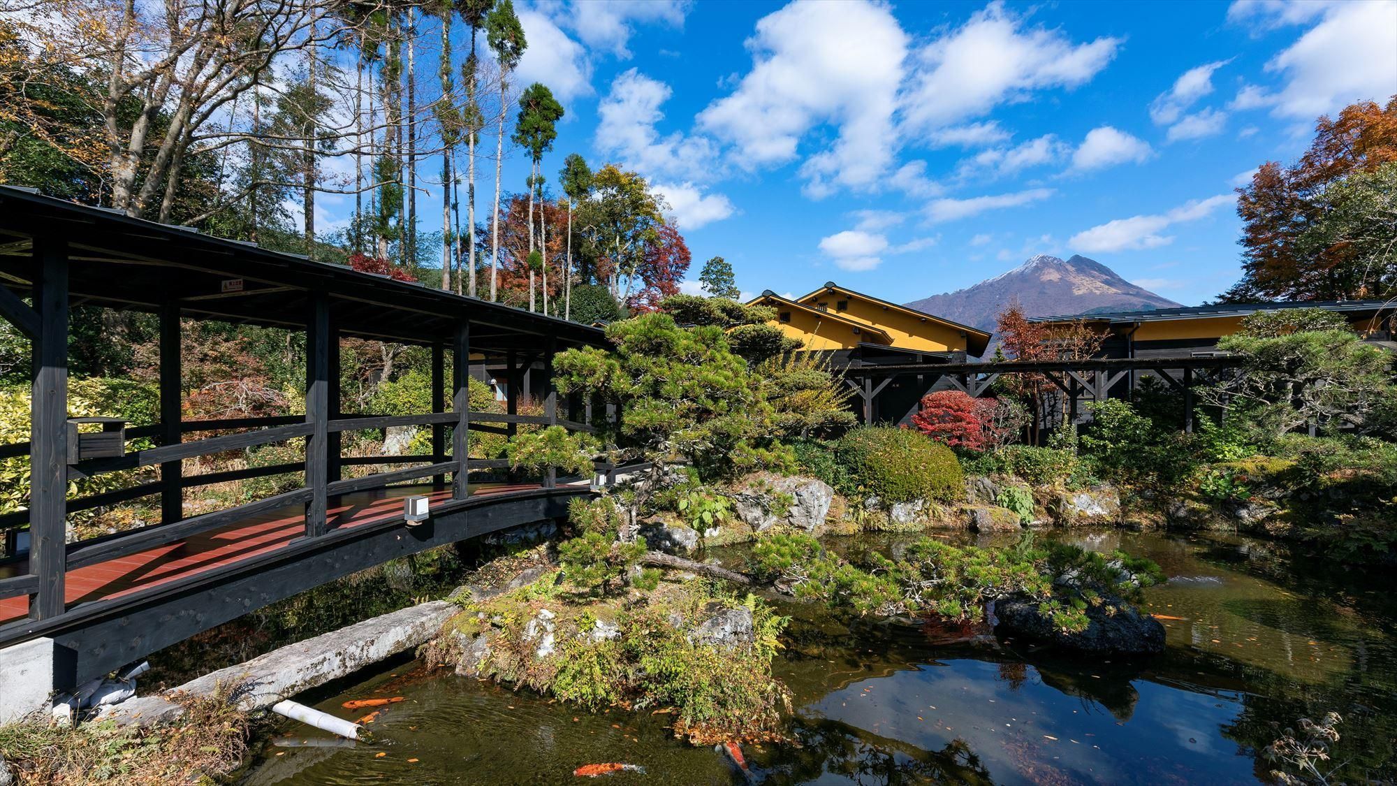 المظهر الخارجي