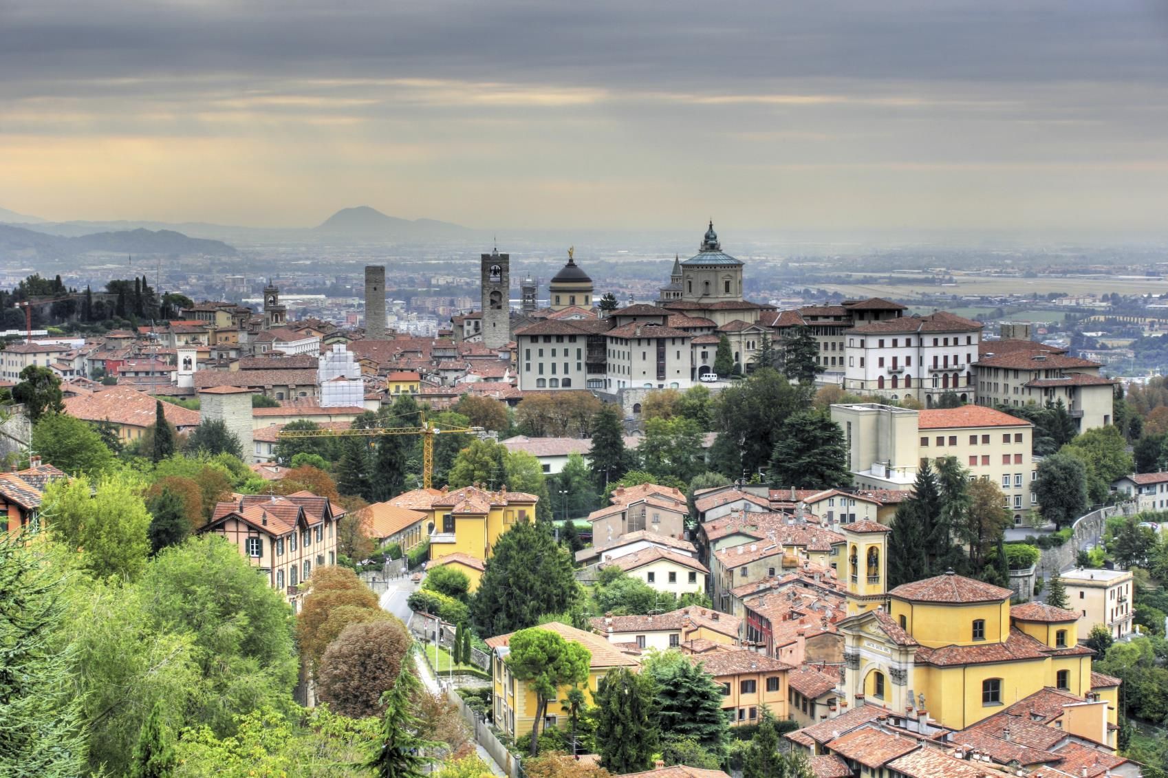 المظهر الخارجي