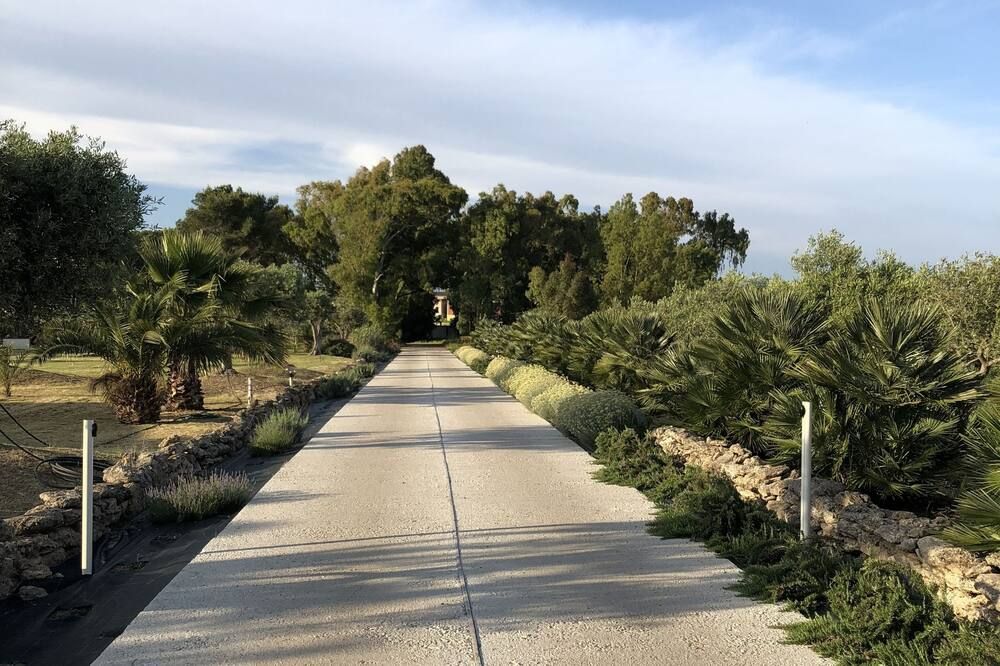 المظهر الخارجي