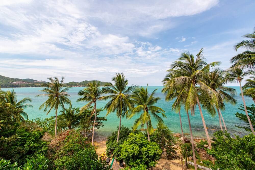 المظهر الخارجي