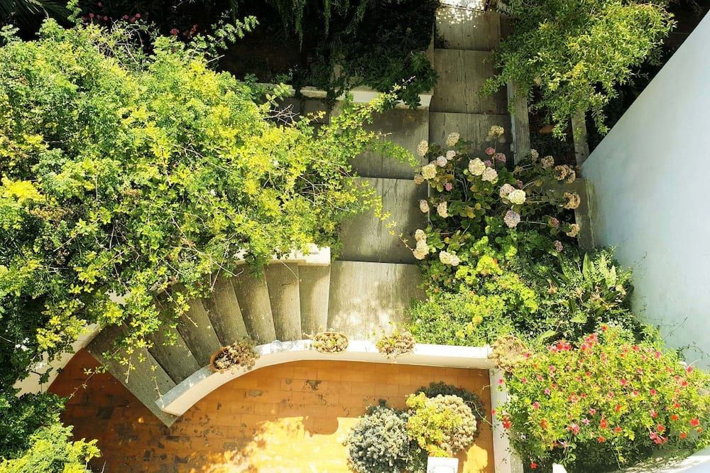 المظهر الخارجي