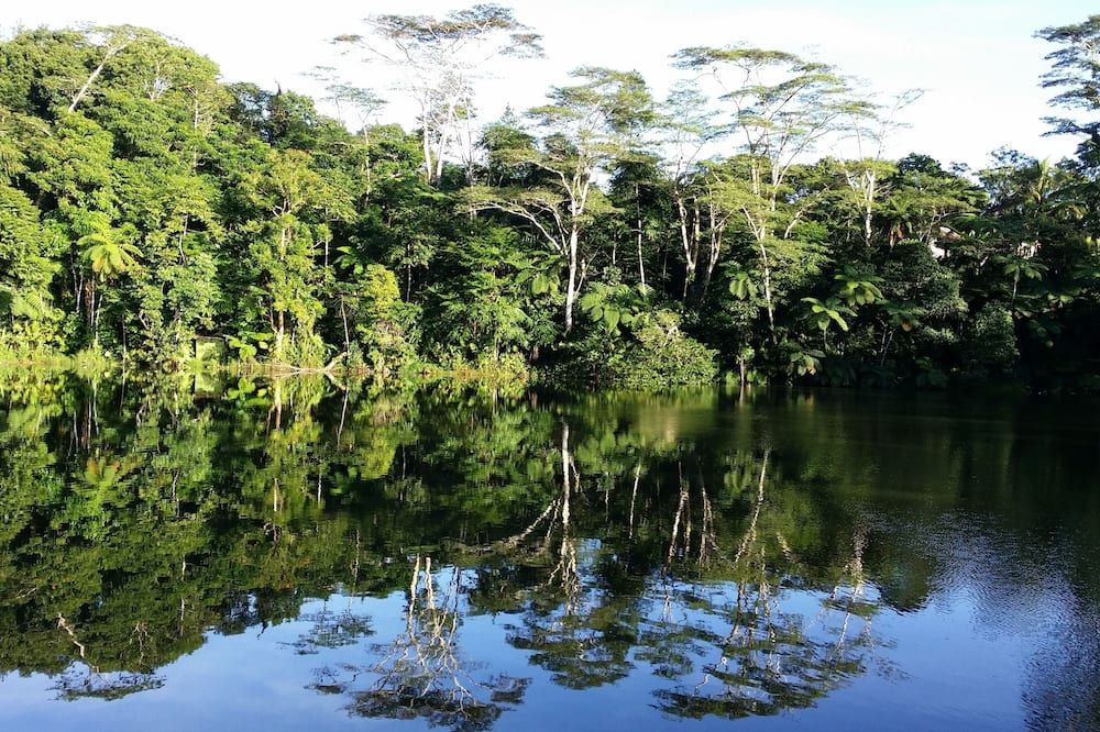 المظهر الخارجي