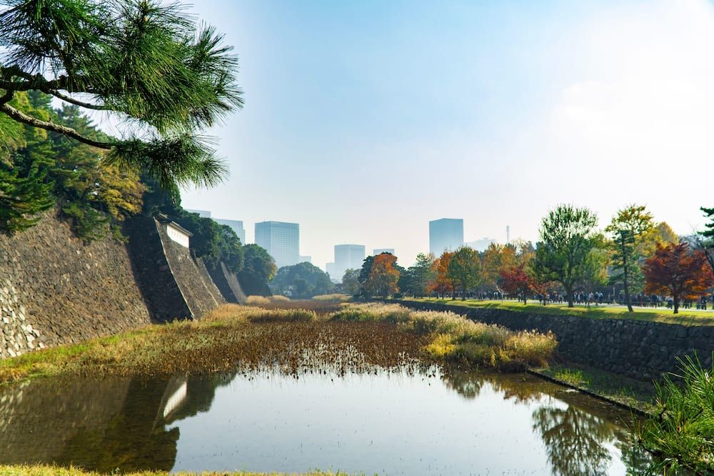 المظهر الخارجي