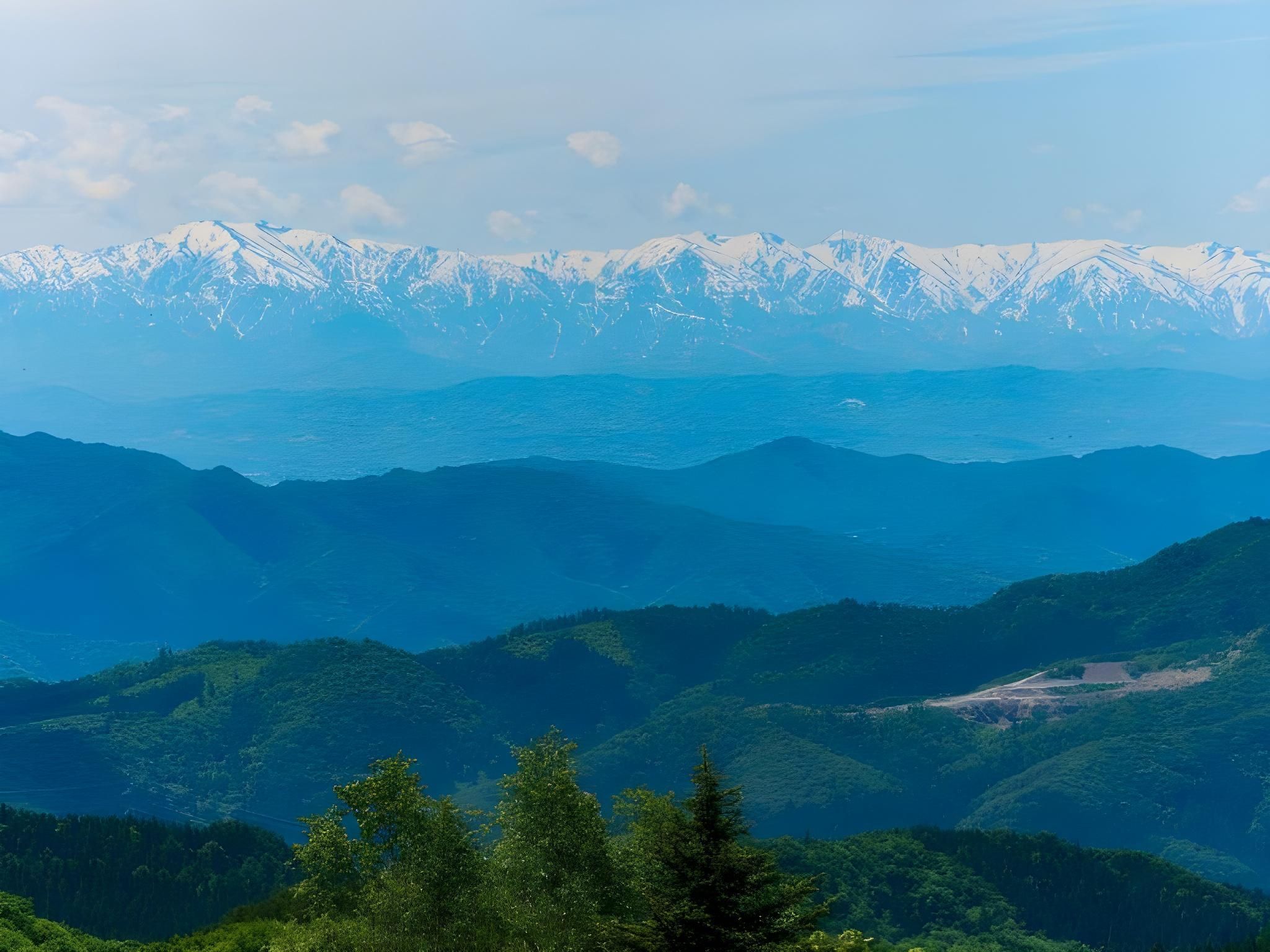 المظهر الخارجي