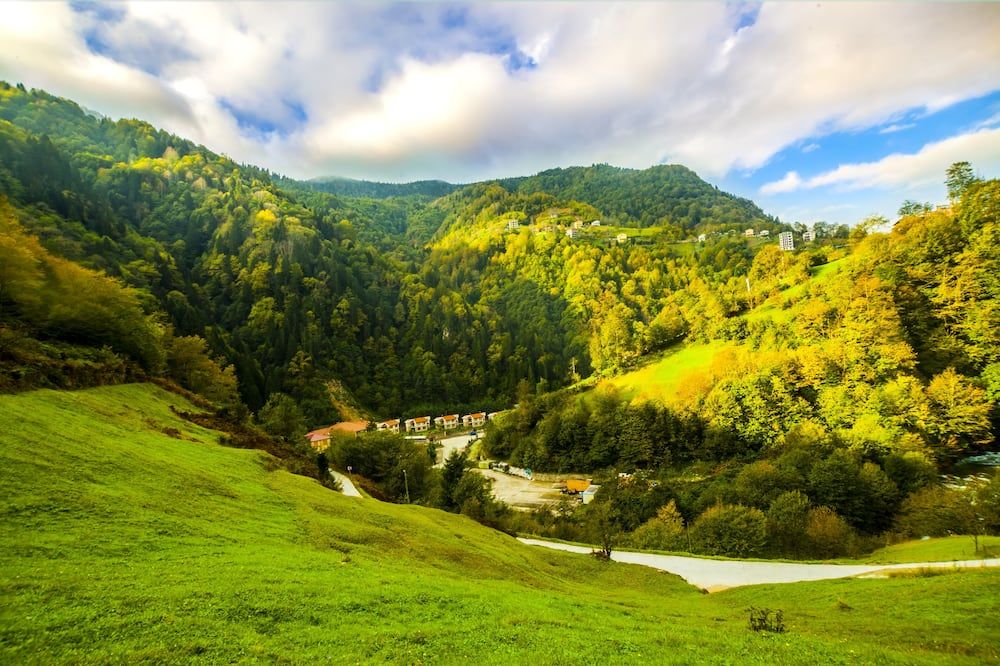 المظهر الخارجي