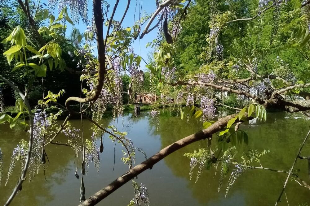 المظهر الخارجي