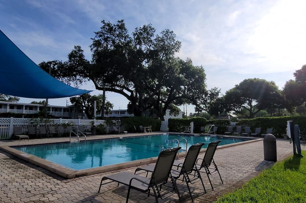 حوض السباحة صورة