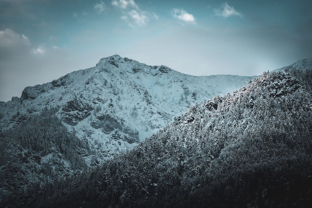 المظهر الخارجي