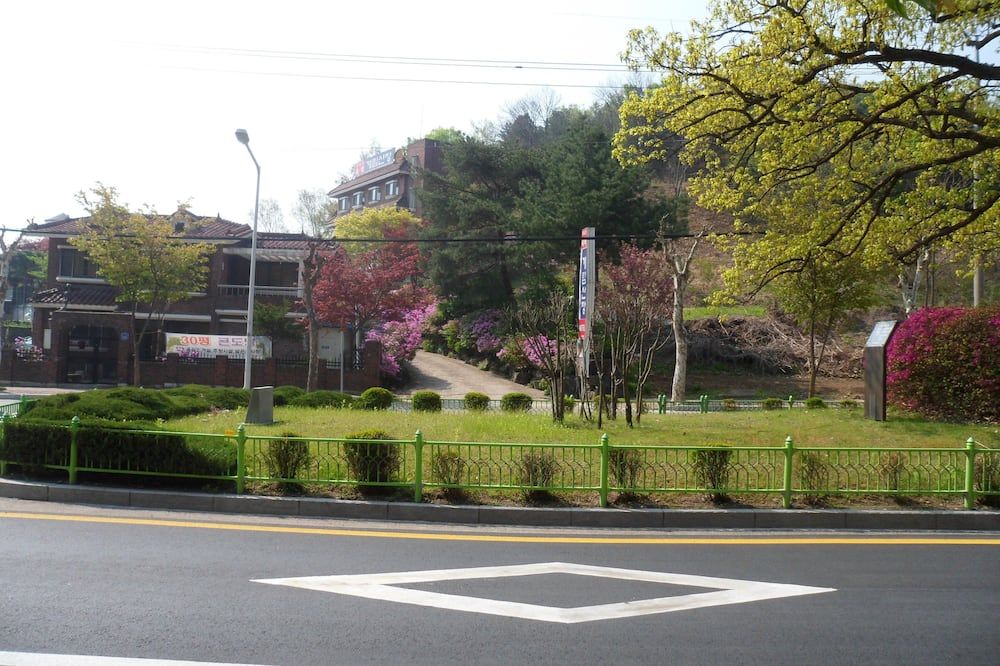 المظهر الخارجي