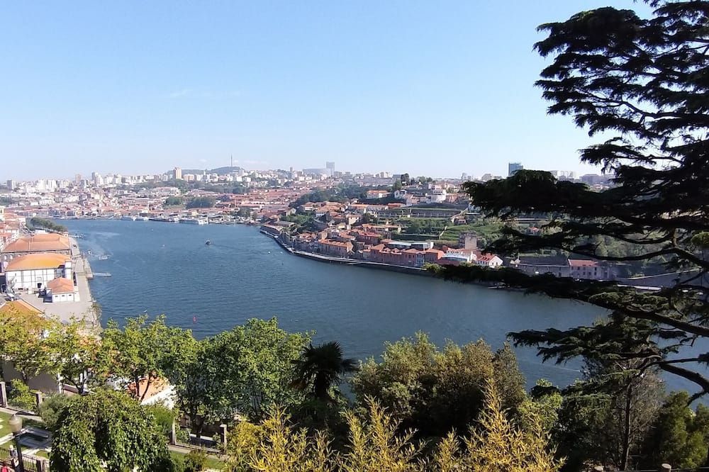 المظهر الخارجي