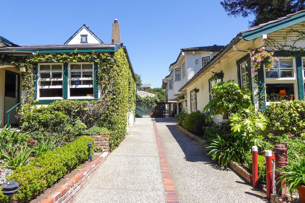 المظهر الخارجي