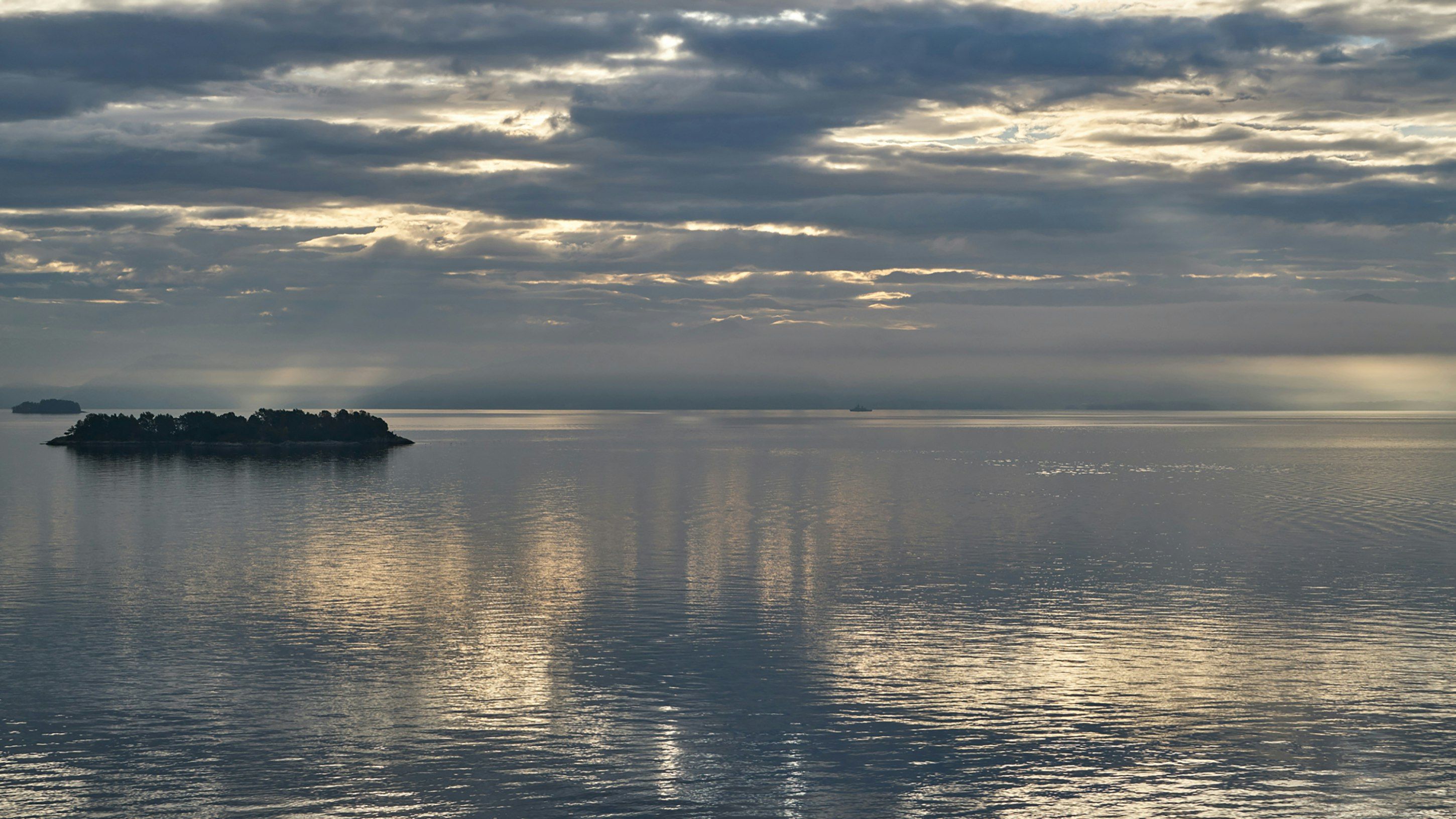 المظهر الخارجي