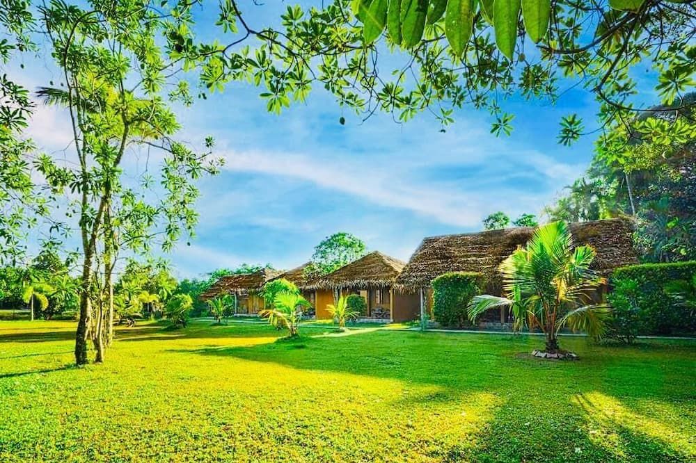 المظهر الخارجي