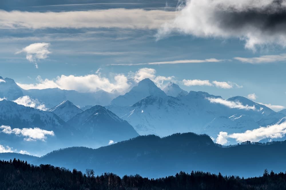 المظهر الخارجي