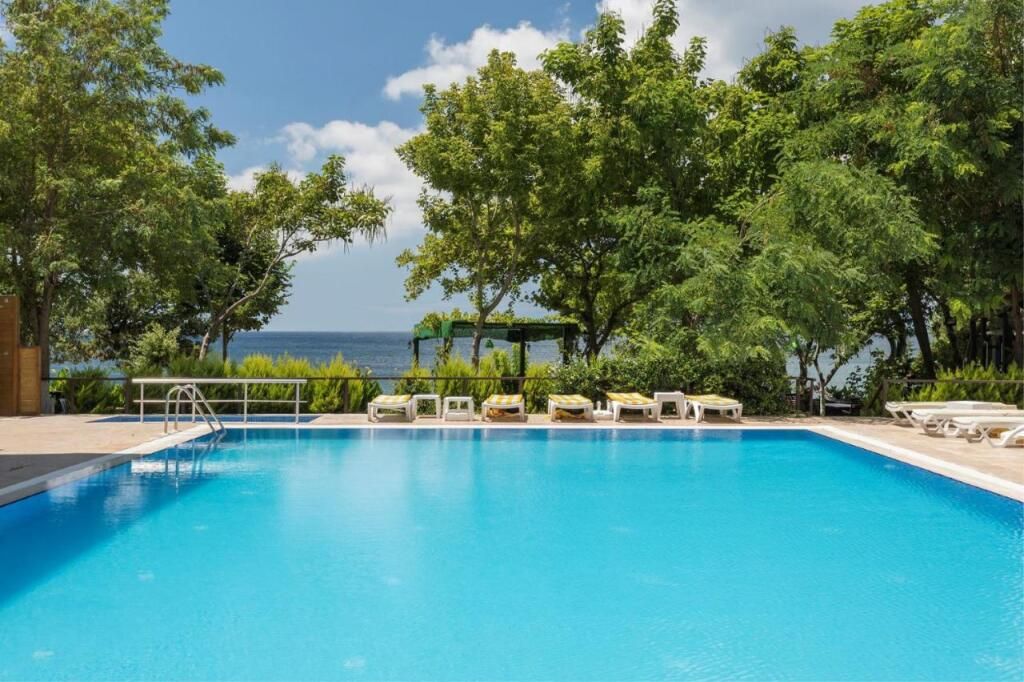 حوض السباحة