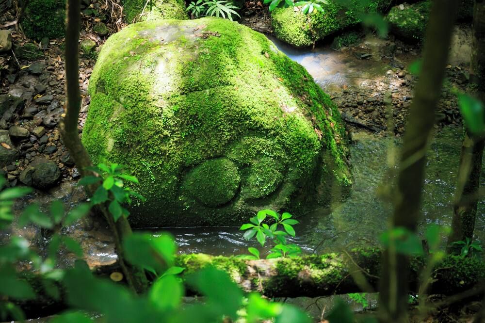 المظهر الخارجي