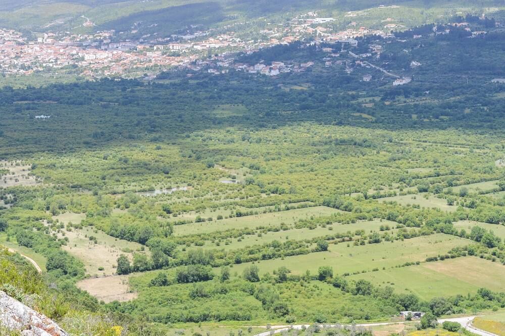 المظهر الخارجي