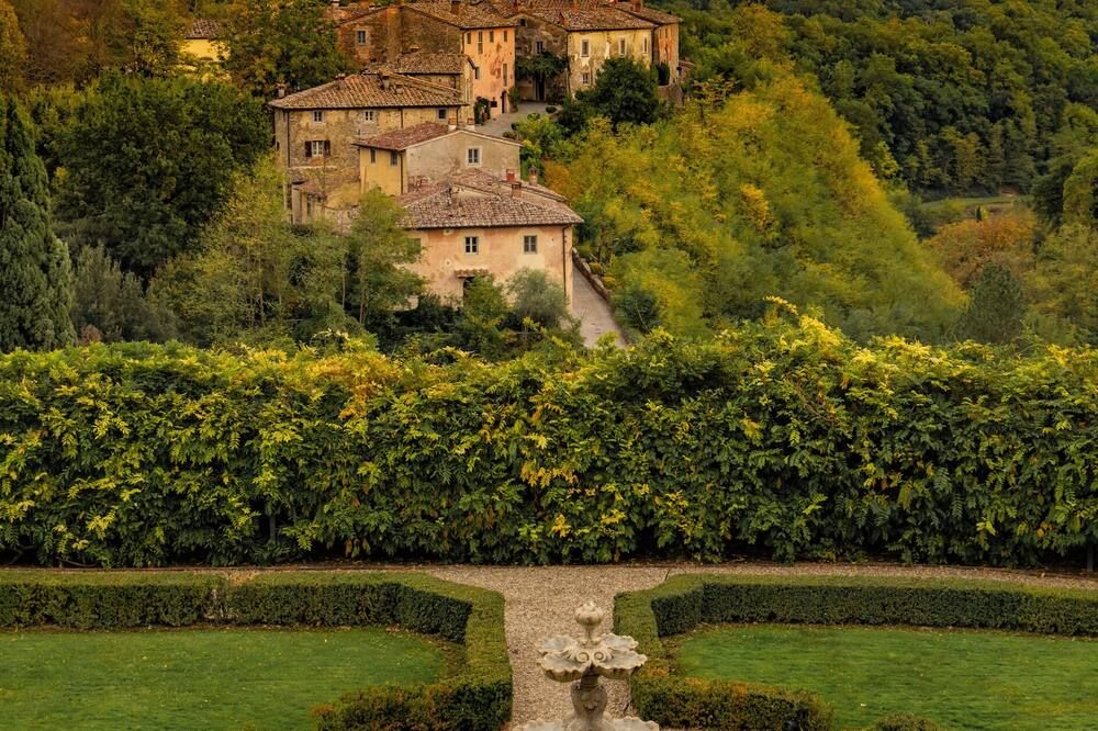 المظهر الخارجي