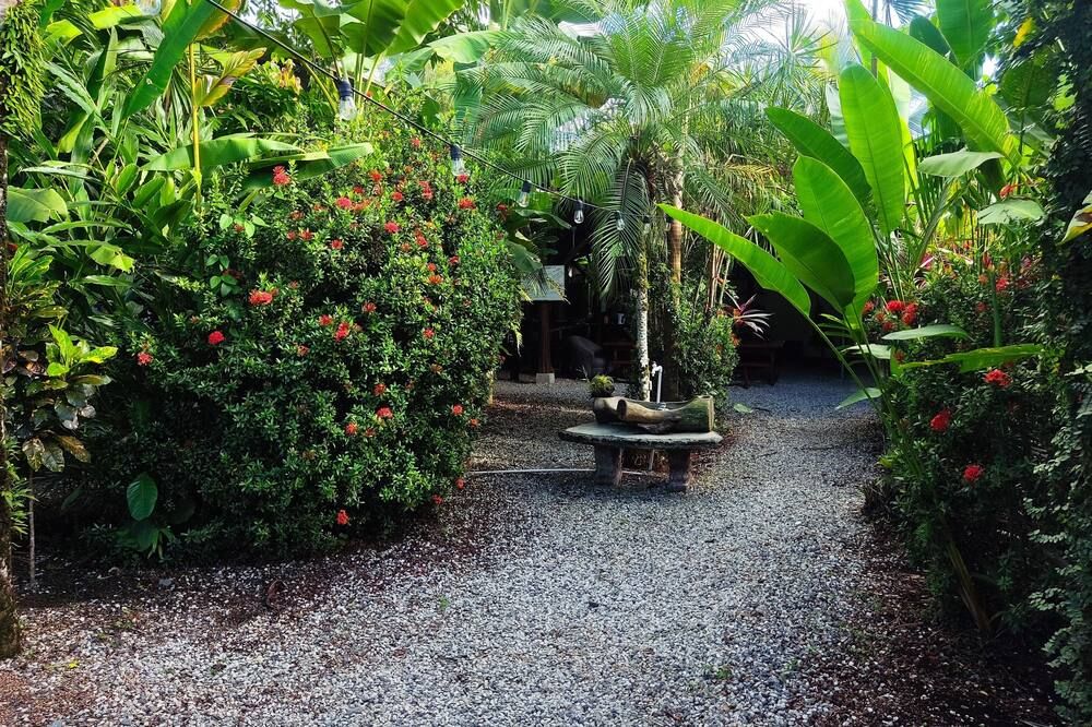 المظهر الخارجي