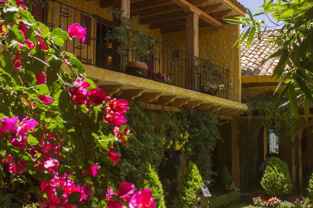 المظهر الخارجي