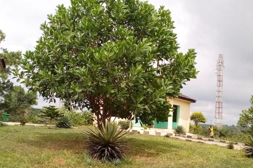 المظهر الخارجي