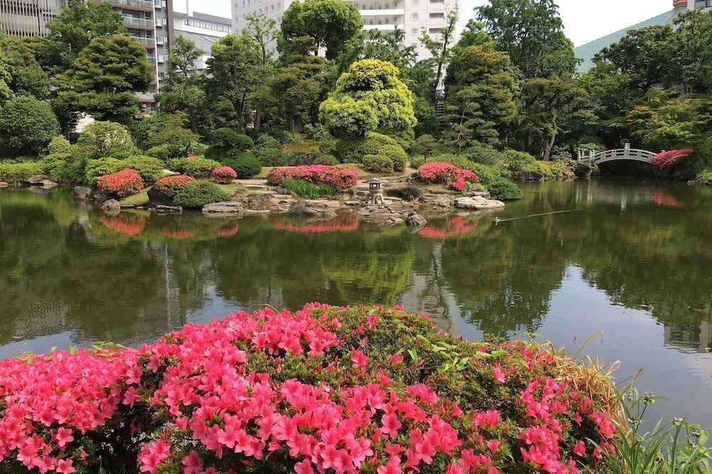 المظهر الخارجي