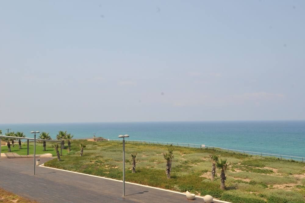 ردهة