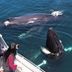 آخر