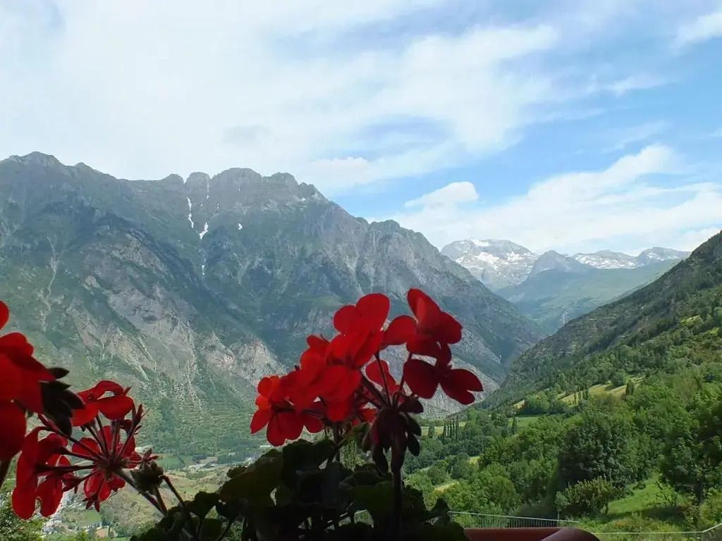 المظهر الخارجي