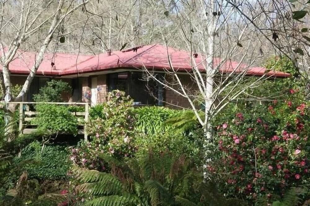 المظهر الخارجي