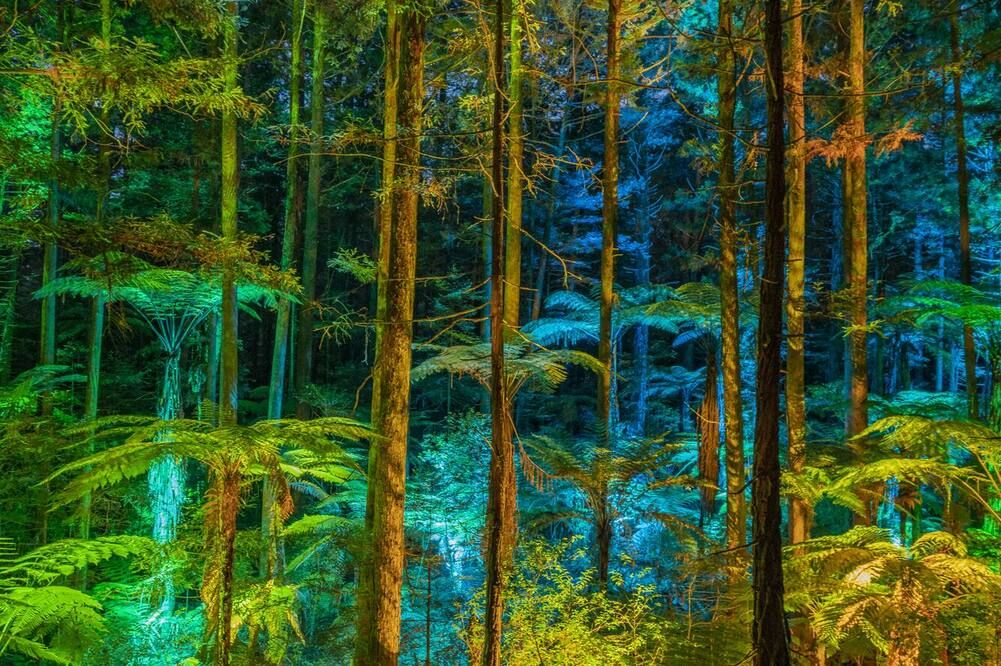 المظهر الخارجي