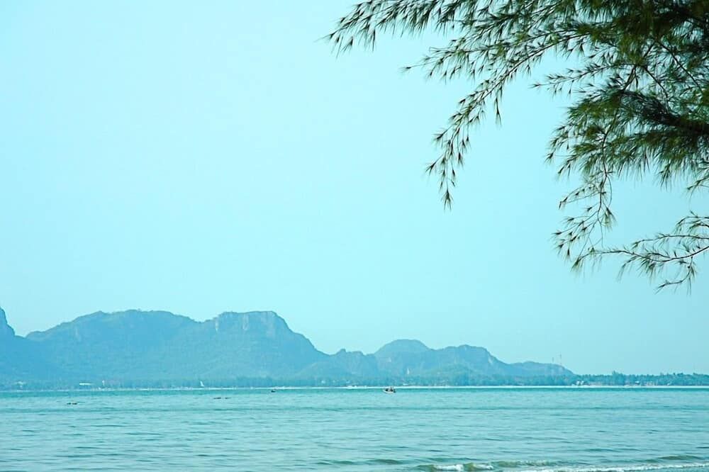 المظهر الخارجي