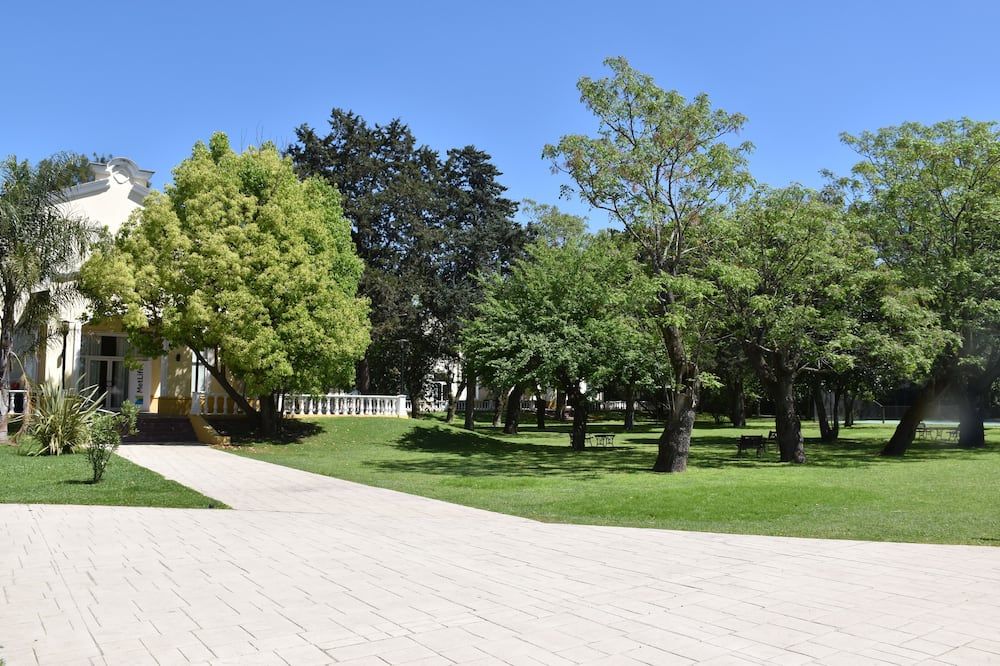 المظهر الخارجي