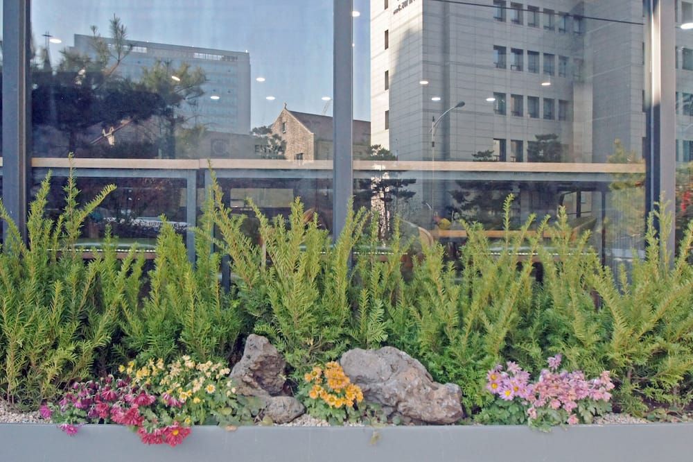 المظهر الخارجي