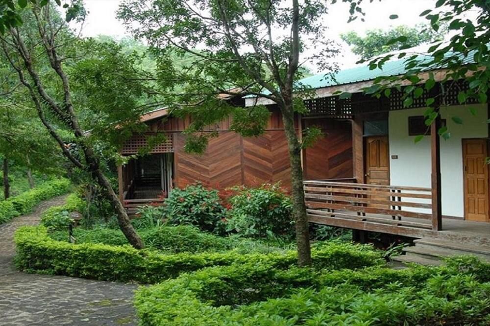 المظهر الخارجي