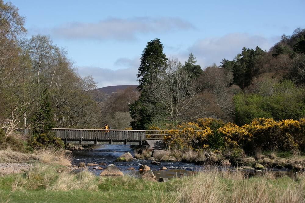 المظهر الخارجي
