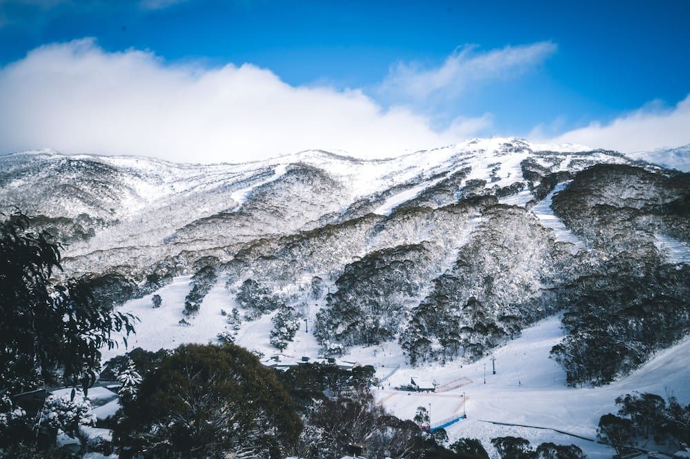 المظهر الخارجي