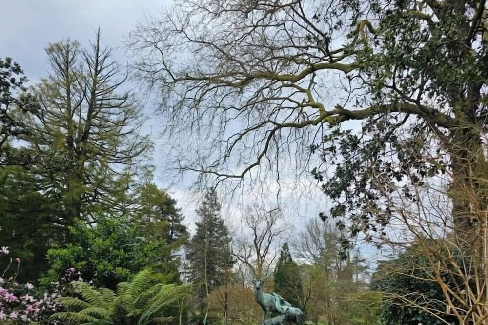 المظهر الخارجي