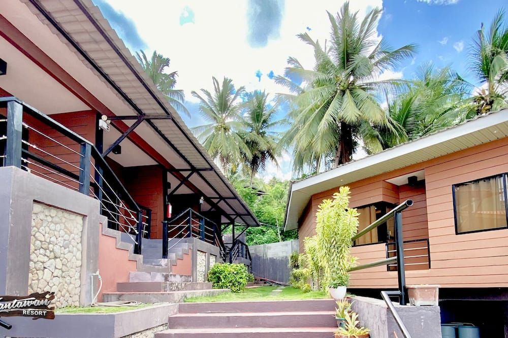 المظهر الخارجي