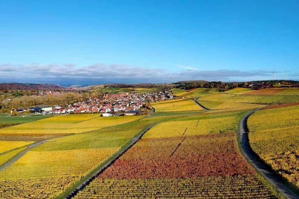 المظهر الخارجي