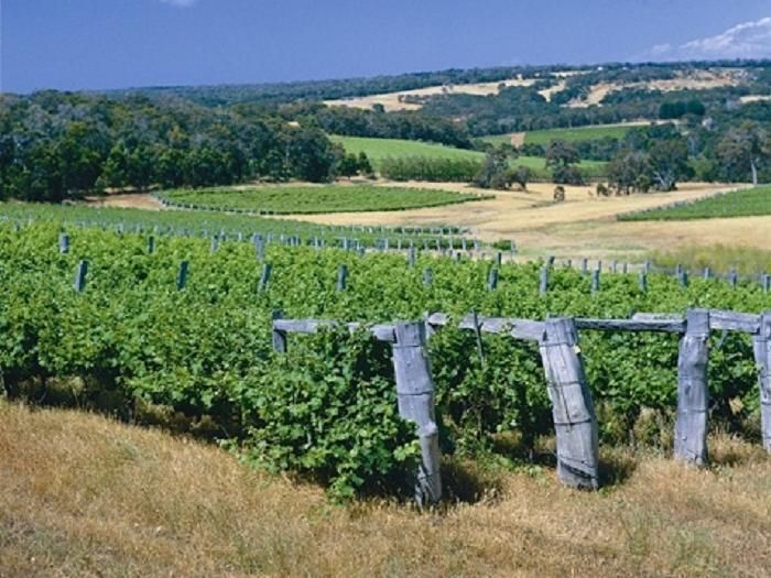 المظهر الخارجي