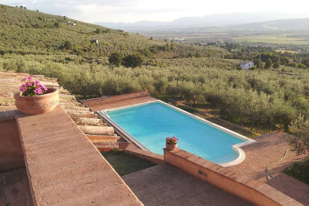 حوض السباحة