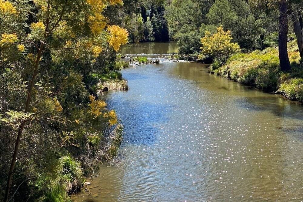 المظهر الخارجي