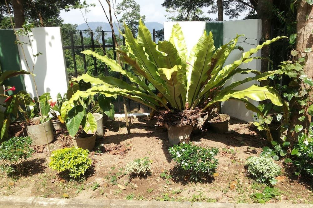 المظهر الخارجي