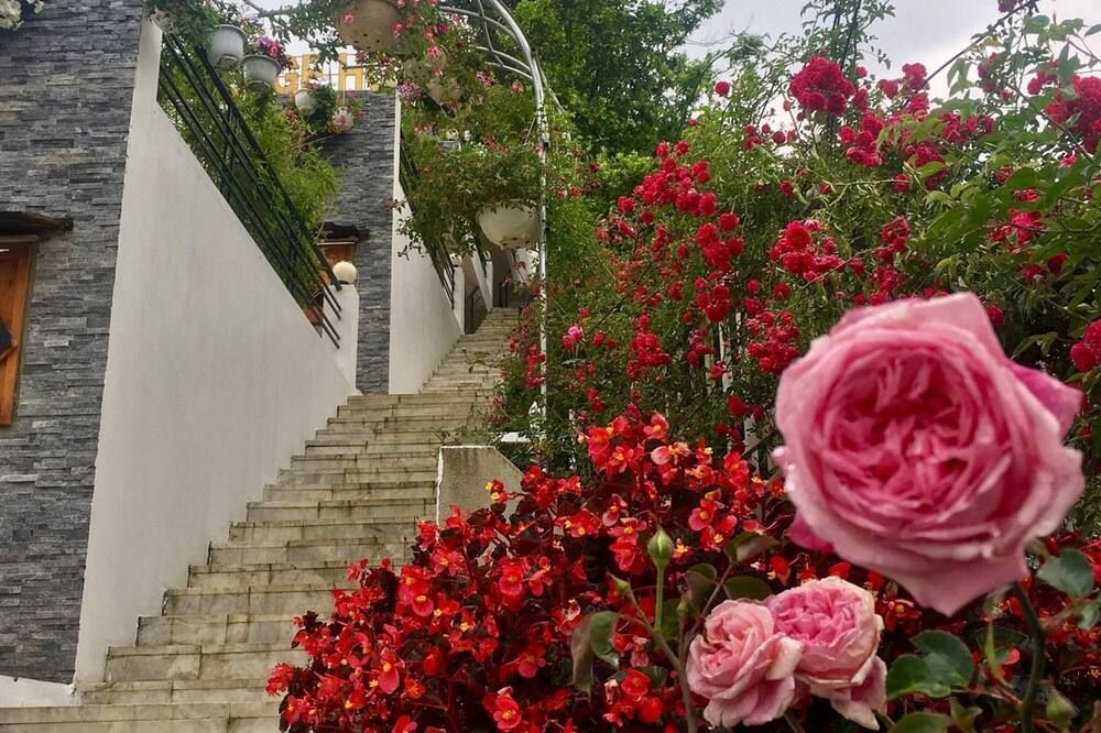 المظهر الخارجي