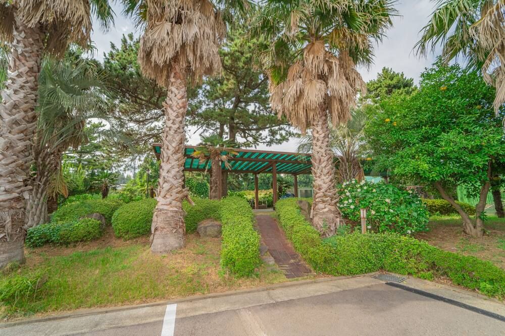 المظهر الخارجي