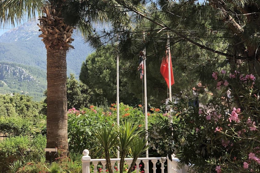 المظهر الخارجي