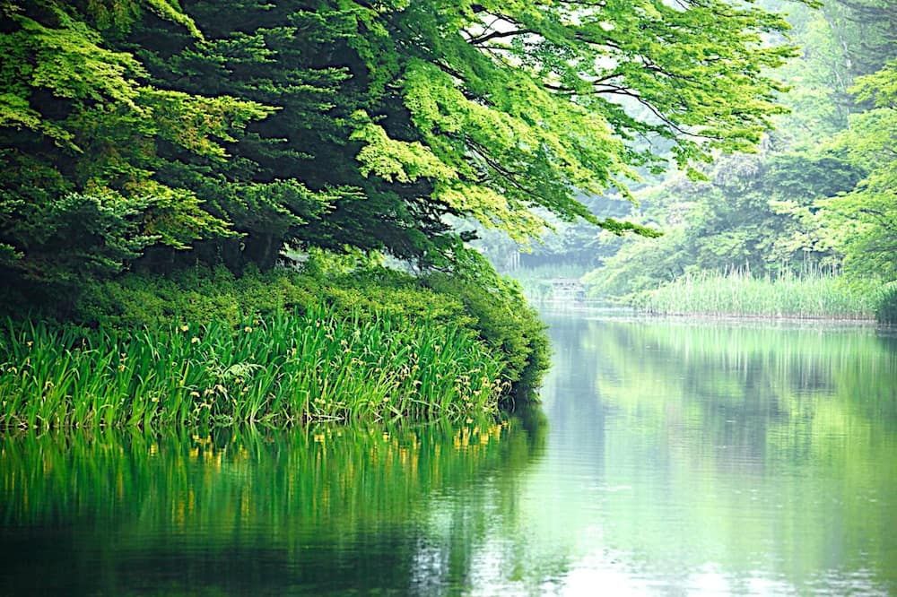 المظهر الخارجي