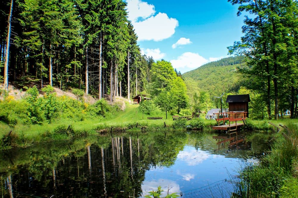 المظهر الخارجي