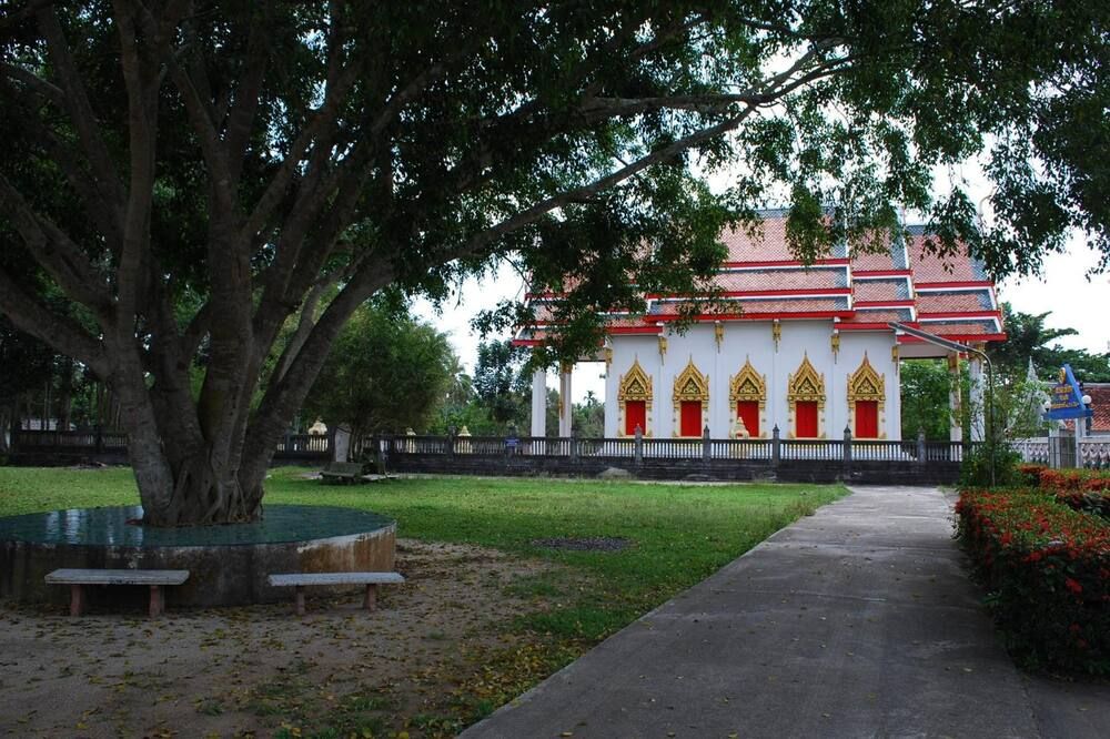 المظهر الخارجي